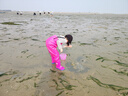 神鯊玫紅色兒童下水褲連體褲趕海衣服防水褲涉水服雨褲玩水玩沙趕海服 曬單實(shí)拍圖
