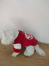 嬉皮狗（hipidog）小狗狗衣服絲絨醒獅兩腳棉衣泰迪比熊小型幼犬秋冬季厚款寵物服裝 德羅紅 S （建議體重3-5斤） 曬單實(shí)拍圖