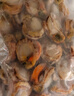 免洗免處理無(wú)冰扇貝肉 肉厚鮮嫩 鮮凍直達 炒菜煮湯必備海鮮 20-40個(gè) 1斤 曬單實(shí)拍圖