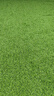 人造仿真草坪地毯幼兒園戶(hù)外綠色塑料草皮足球場(chǎng)鋪裝人工假草坪墊 2厘米加厚春草（2米寬*3米長(cháng)） 曬單實(shí)拍圖