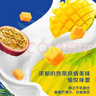 伊利安慕希芒果百香果風(fēng)味酸奶230g*10瓶 年貨禮盒裝 曬單實(shí)拍圖