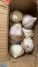 紫白皮蒜水果大蒜超市即食生鮮蔬菜大蒜 【優(yōu)選】帶箱 1斤 單果3.5-5cm 曬單實(shí)拍圖