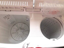 威力7/8/9/10/13/15kg公斤半自動(dòng)家用雙缸波輪洗衣機大容量小型雙筒雙桶洗脫雙電機旋鈕控制 以舊換新 10公斤雙缸【洗脫分離+旋鈕控制】 雙缸 曬單實(shí)拍圖