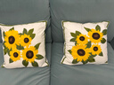 微光里 沙發(fā)抱枕含高彈枕芯靠枕頭向日葵抱枕小清新ins客廳床上飄窗靠墊 向日葵抱枕45cm【含高彈內芯】 曬單實(shí)拍圖