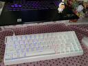 邁從（MCHOSE）Ace 68/60Pro磁軸鍵盤(pán) RT電競游戲客制化機械有線(xiàn)連接全鍵熱插拔雙驅動(dòng)無(wú)畏契約 Ace 68 電競版 白色 藍冰磁軸 曬單實(shí)拍圖