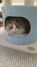 獸牌慕斯馬卡龍貓爬架玩睡一體不占地小戶(hù)型貓架貓窩大貓可用帶太空艙 馬卡龍+好夢(mèng)掛件*2 曬單實(shí)拍圖
