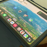 Apple/蘋(píng)果 iPad11英寸 A16芯片2025年款 平板電腦 (256GB WLAN版/學(xué)習辦公娛樂(lè ))藍色 曬單實(shí)拍圖