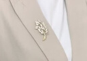 紀詩(shī)哲（GIEVSZHE）麥穗品牌胸針高檔女奢侈高端品牌胸針精致胸花38女神節禮物送女友 高貴氣質(zhì)麥穗胸針女 禮盒裝 曬單實(shí)拍圖