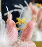 老鳳祥黃金雙生蝴蝶戒指女款足金活口指環(huán)情人節生日禮物送女友老婆愛(ài)人 雙生花蝴蝶戒指 約2.5g 曬單實(shí)拍圖