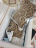 無(wú)沙花蛤肉500g新鮮冷凍速凍煮花甲肉蛤蜊肉黃蜆子肉海鮮水產(chǎn)商用 無(wú)沙花甲肉500g*4袋 曬單實(shí)拍圖