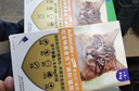 愛(ài)沃克寵物驅蟲(chóng)藥內外同驅耳螨跳蚤蛔蟲(chóng)4~8kg大貓0.8ml*3支德國進(jìn)口原研 曬單實(shí)拍圖