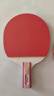 紅雙喜橫直對拍乒乓球拍橫直套裝2拍1球Ⅱ型 曬單實(shí)拍圖