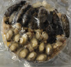 天海藏10參10鮑大盆菜2000g  加熱即食海參鮑魚(yú)佛跳墻年貨禮盒預制菜 曬單實(shí)拍圖