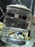 摩飛電器（Morphyrichards）全玻璃養生壺1.5升恒溫壺燒水壺電熱水壺家用多功能煮茶壺0膠水0拼接風(fēng)冷降溫甜品燕窩MR5606 曬單實(shí)拍圖