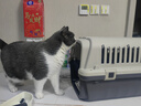 腆寵航空箱貓國航大號貓箱寵物航空箱狗狗貓包貓籠外出狗狗托運箱 曬單實(shí)拍圖
