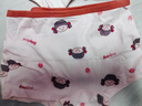 尼多熊女童內褲兒童平角短褲棉女寶寶四角內褲中大童女孩不夾PP 曬單實(shí)拍圖
