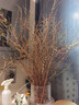 花翁干枝支水培植物花卉室內盆栽綠植 雪柳鮮枝70-80cm20支源頭直發(fā) 曬單實(shí)拍圖