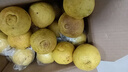 巖垅黃金貢橘純甜象山青現摘懷化手剝橙清甜多汁產(chǎn)地發(fā)貨新鮮 帶箱10斤單果60mm起凈重9斤 曬單實(shí)拍圖