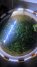 森森（SUNSUN）魚(yú)缸燈LED水草燈防水支架燈全光譜魚(yú)缸觀(guān)賞燈爆藻照明草缸燈 更薄更亮4.5W防水燈（適合31-40cm缸） 曬單實(shí)拍圖