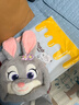 迪士尼（Disney）瘋狂動(dòng)物城朱迪春意斜挎包兔子玩偶毛絨玩具三八節女神禮物女生日 曬單實(shí)拍圖
