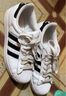 阿迪達斯adidas SUPERSTARII 三葉草 白色 貝殼頭 男女銅礦 休閑鞋 IH8659 白色 41 曬單實(shí)拍圖
