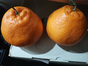 生活＆好管家 四川春見(jiàn)耙耙柑新鮮水果應季橘子現摘孕婦水果整箱桔子橘子 優(yōu)選級市場(chǎng)果 8.5-9斤【單果80-90mm】?jì)糁?斤 曬單實(shí)拍圖
