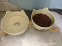 阿柴與貓貓碗陶瓷雙碗食盆喝水碗貓咪狗狗糧碗不易打翻寵物護頸 貓耳雙碗 曬單實(shí)拍圖