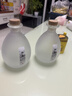 極度空間空酒瓶 磨砂玻璃白酒瓶泡酒瓶白酒專(zhuān)用瓶子高檔自釀容器 500ML*2 曬單實(shí)拍圖