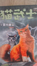 貓武士八部曲4 雷光破云 兒童動(dòng)物小說(shuō)中小學(xué)生課外閱讀書(shū)必讀貓武士系列原版成長(cháng)動(dòng)物小說(shuō)故事書(shū) 兒童年貨節送禮 曬單實(shí)拍圖