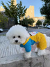 阿莫爾貓咪衣服秋冬加厚保暖卡通四腳衣布偶金漸層藍貓狗狗寵物棉衣加絨 小雪人 L 曬單實(shí)拍圖