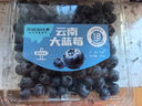 云南8分甜高山藍莓125g(18mm) 曬單實(shí)拍圖