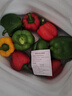 山東五彩椒生吃涼拌水果燈籠椒紅辣椒新鮮甜圓椒蔬菜青椒脆甜多汁 凈重3斤單果100g+【泡沫箱保鮮】 曬單實(shí)拍圖