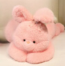 可愛(ài)蝴蝶兔子毛絨玩具抱枕軟軟長(cháng)毛絨粉色兔子娃娃玩偶送女生禮物 【升級長(cháng)毛絨-蝴蝶趴趴兔公仔】櫻花粉 【大號】130cm-2.kg 曬單實(shí)拍圖