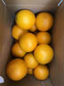 【順豐包郵 】廣東特產(chǎn)正宗廉江紅橙紅江橙紅江農場(chǎng)孕婦薄皮新鮮 精挑單果60-80mm S級果【5斤】 曬單實(shí)拍圖