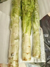湖北露天新鮮萵筍湖北農家露天種植時(shí)令蔬菜嫩青筍產(chǎn)地直銷(xiāo)蔬菜 5斤 曬單實(shí)拍圖