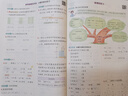 2026春典中點(diǎn)一二三四五六年級上下冊語(yǔ)文數學(xué)英語(yǔ)蘇教版北師人教版 三年級下冊（26春） 數學(xué)人教版 曬單實(shí)拍圖