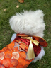 嬉皮狗（hipidog）寵物衣服秋冬蒲扇刺繡新年牽引唐裝棉衣喜慶過(guò)年狗狗貓咪比熊衣服 德羅紅 S （建議體重3-5斤） 曬單實(shí)拍圖