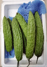 【東東買(mǎi)菜】山東新鮮苦瓜綠色蔬菜苦瓜涼瓜清脆爽口青皮涼拌瓜 新鮮苦瓜 3斤 曬單實(shí)拍圖