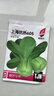【虧本沖量】爆款?上?？篃?05上海青小油菜青菜小白菜種子四季 上?？篃?05種子 1包約1000粒 曬單實(shí)拍圖