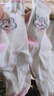 都市麗人兒童襪子女童四季中筒純棉襪青少年女孩中大童學(xué)生長(cháng)襪5雙裝XL 曬單實(shí)拍圖