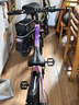 鳳凰（Phoenix）兒童山地自行車(chē)5-8-10-12-15-18歲女男孩減震變速20寸粉色禮物 曬單實(shí)拍圖