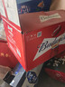 百威啤酒（ Budweiser）紅色鋁瓶啤酒 355ml*24瓶 新年新春 355mL 24瓶 曬單實(shí)拍圖