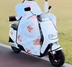 臺鈴電動(dòng)車(chē)擋風(fēng)被冬季防水防風(fēng)加厚電瓶車(chē)四季通用護脖擋風(fēng)罩 曬單實(shí)拍圖