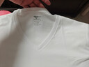 七匹狼3件裝純棉短袖男T恤打底衫夏季薄款運動(dòng)吸汗衫全棉透氣半袖老頭衫 100%棉【V.領(lǐng)】白色+白色+白色 XL (175) 推薦130斤-150斤 曬單實(shí)拍圖