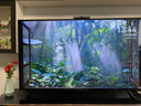 華為Vision智慧屏 5 SE 65英寸 鴻蒙AI搜片MiniLED鴻鵠畫(huà)質(zhì) 一級能效國家補貼投屏平板電視機HD65KULU 曬單實(shí)拍圖