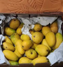 京地達芒果海南小臺芒凈重9斤單果100g+小臺農應季水果源頭直發(fā)包郵 曬單實(shí)拍圖