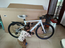 喜德盛公路自行車(chē)AD300油碟UCI車(chē)架2x10速中空一體牙盤(pán)桶軸破風(fēng)車(chē) 奶油黃/白 510mm（適合身高170-180cm） 曬單實(shí)拍圖