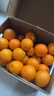 褚橙旗下云冠橙褚時(shí)健勵志橙子云南冰糖橙10斤禮盒當季新鮮水果 云冠橙特級XL10斤禮盒【26個(gè)左右】 曬單實(shí)拍圖