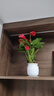 愛(ài)優(yōu)尚紅掌盆栽花卉植物室內防輻射凈化空氣開(kāi)花桌面小植物源頭直發(fā) 曬單實(shí)拍圖