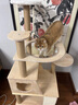 懶貓島 LAZY CAT ISLAND【可放貓砂盆帶抓板】大型實(shí)木貓爬架玩睡一體雙層貓窩貓架屋云棲 【小居優(yōu)選】6層1.4M實(shí)木 貓抓板款YQS 曬單實(shí)拍圖